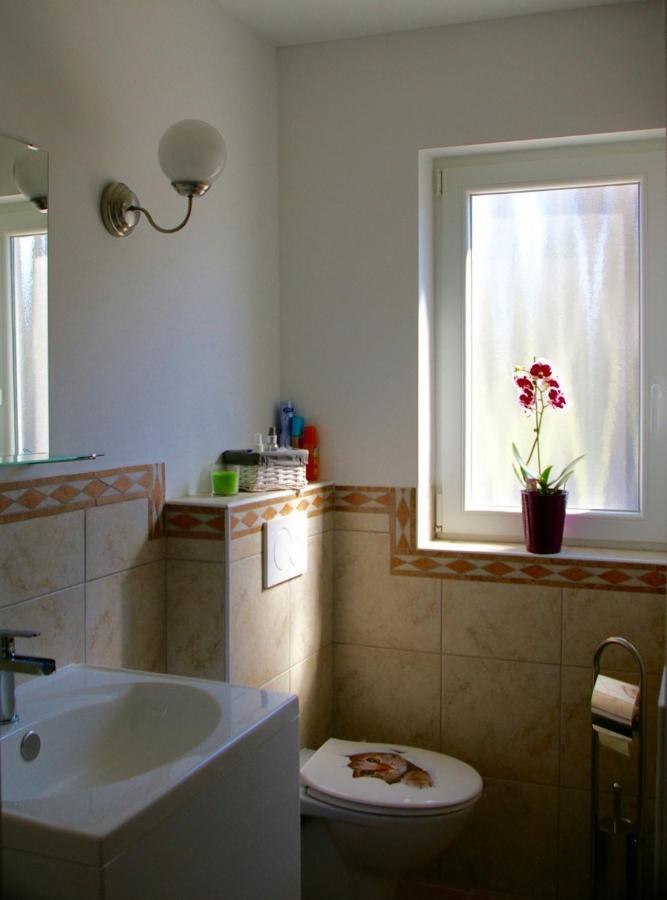 מטליקה Apartma Marija מראה חיצוני תמונה
